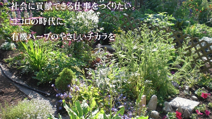 発達障害を活かして、有機ハーブでいやしの仕事をつくりたい！