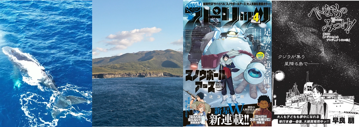 NHK『ダーウィンが来た！』で紹介されます！ & 『へんなものみっけ！』でもクジラのエピソード掲載！
