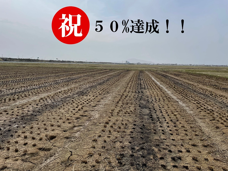 【あと6日】50%に達成しました！