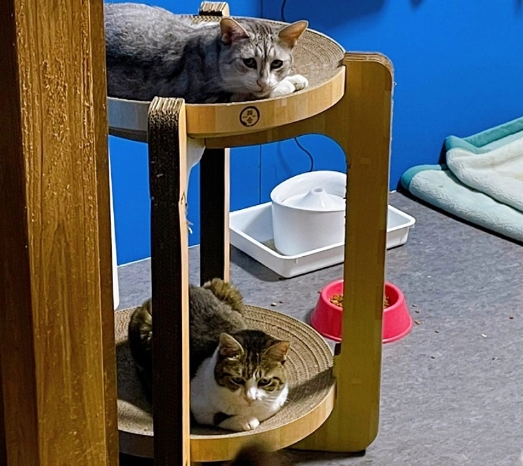 ★今日という日を、幸せに。