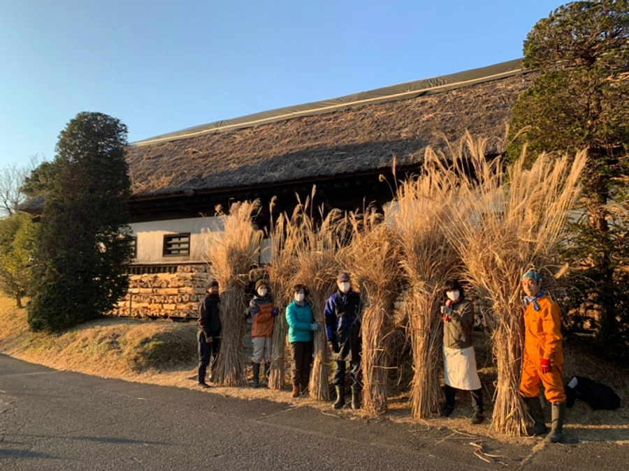 茅仲間集まれ！12/19 茅の収穫・茅場の保存ボランティア募集！