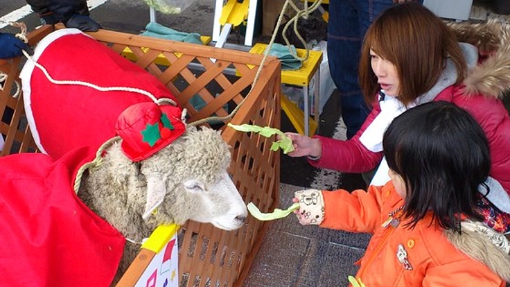 南三陸町歌津地区に子ども達が笑顔で楽しめる遊び場を。