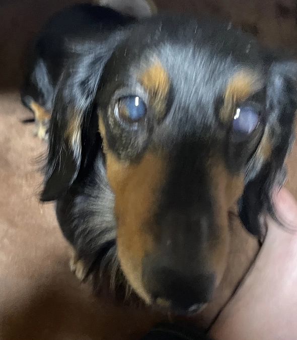 ご支援55%到達致しました！