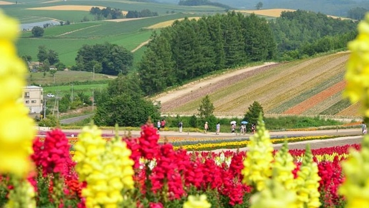 北海道を巡り、観光客へ北海道の隠れた魅力を発見し発信したい！
