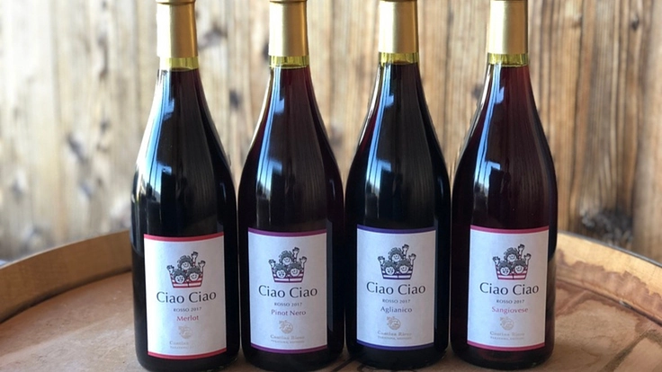 カンティーナ・リエゾー｜皆さんとアグリツーリズモの実現を目指したい 5枚目