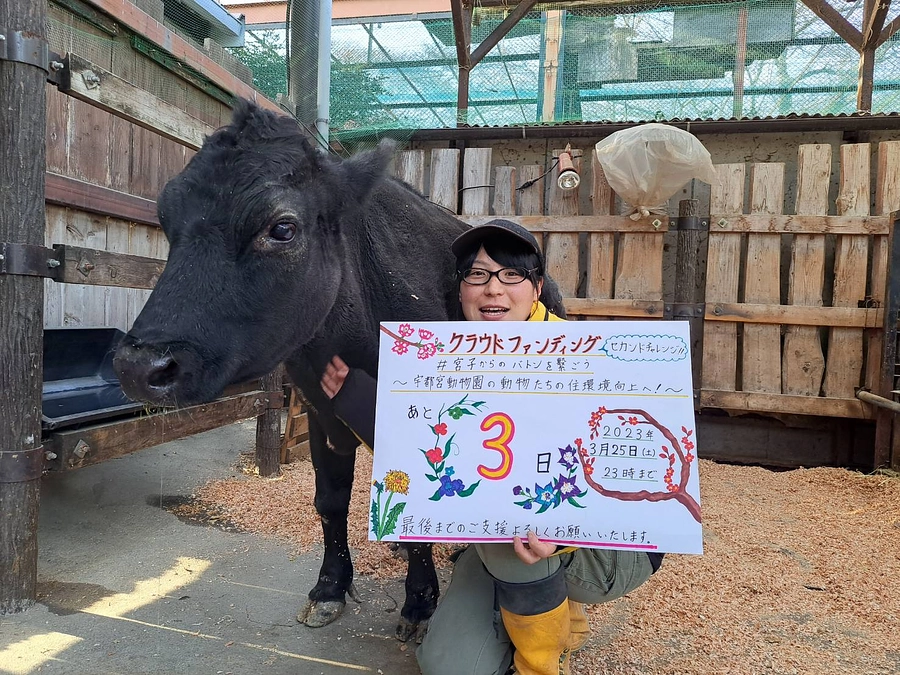 【ラストスパート！】プロジェクト終了まであと３日！！