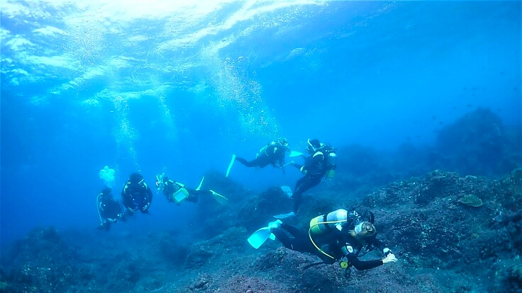 高い！気軽にできない！24歳学生サブスク制でダイブ常識を変えたい！ 6枚目