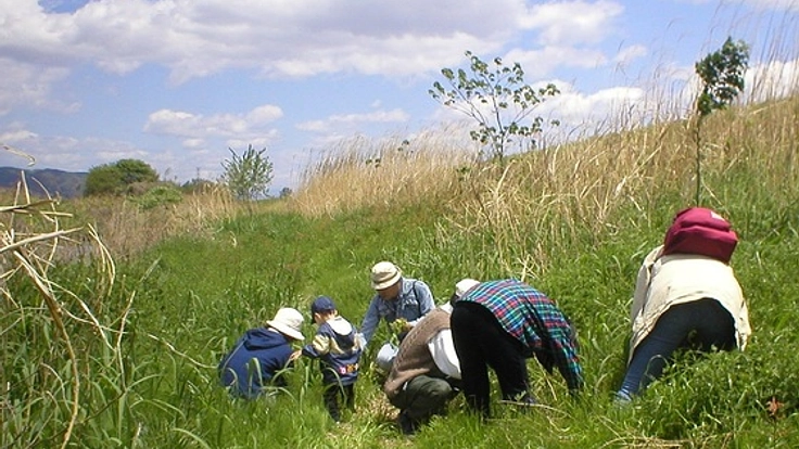 「地域のエコイベント」をきっかけに、環境課題の解決につなげたい