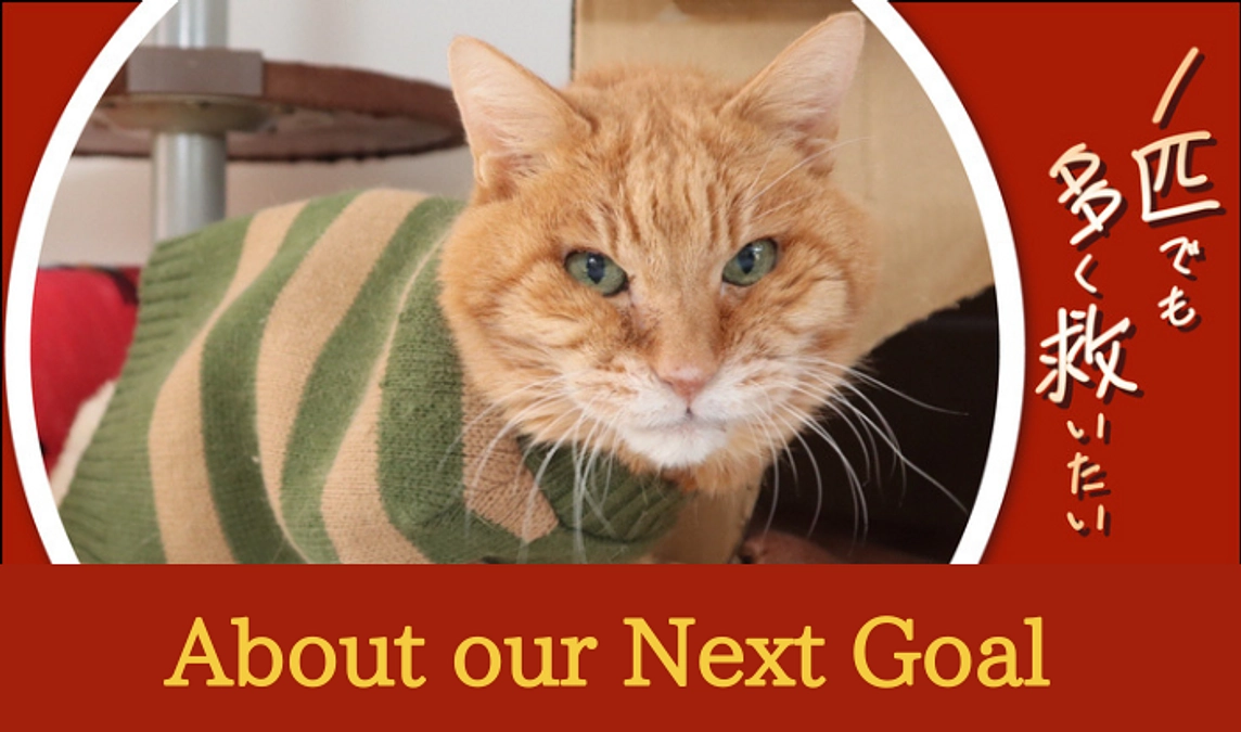 We have set the next goal!