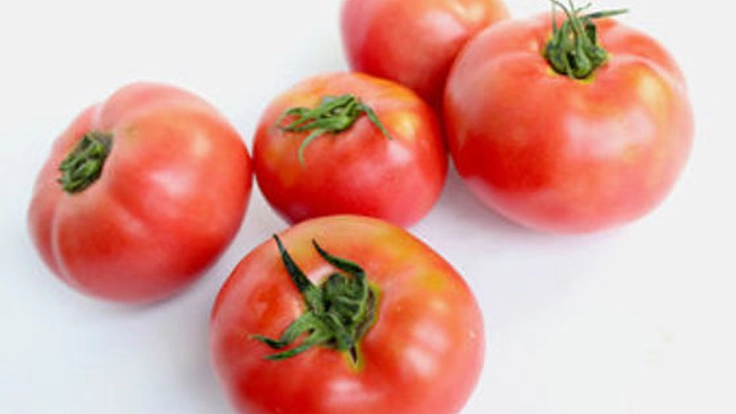 みんなが安心して食べられる、栄養満点の無農薬野菜を作りたい。