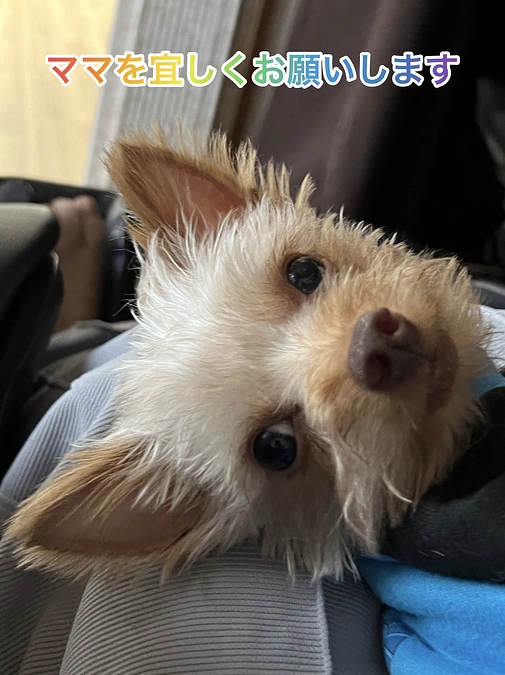 代理支援について