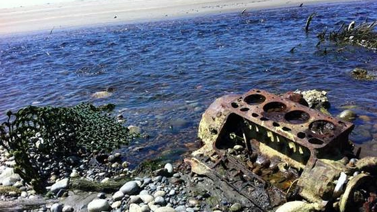 カナダに流れ着いた東日本大震災の漂着物を日本に持ち帰りたい!