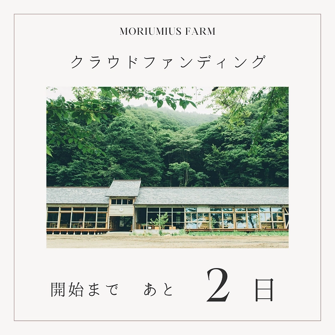 4月1日から、新しいプロジェクト始動します！