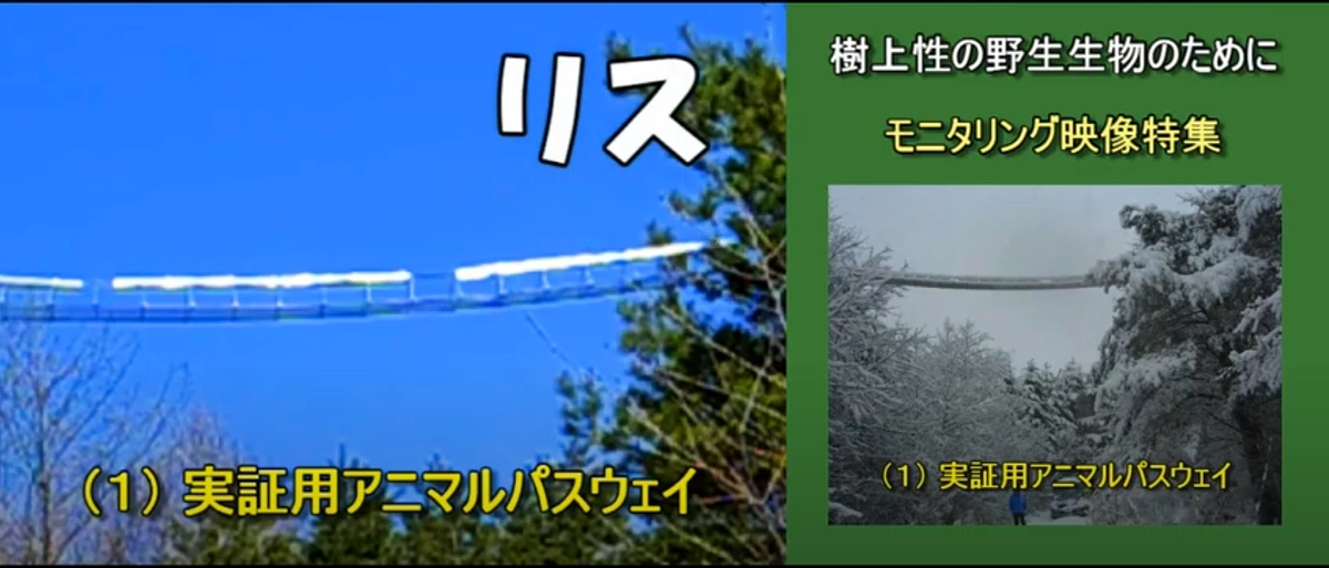 「知ってるつもり？」シリーズ①