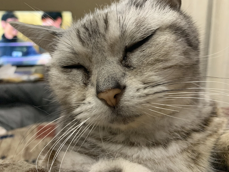 放射線治療の行方