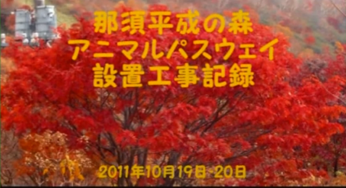 「知ってるつもり？」シリーズ⑥