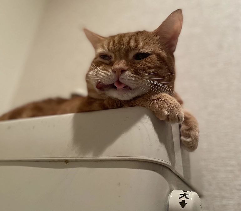 ちょっとホッとしてます