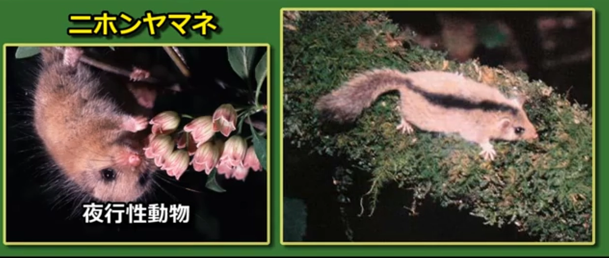 「知ってるつもり?」シリーズ④