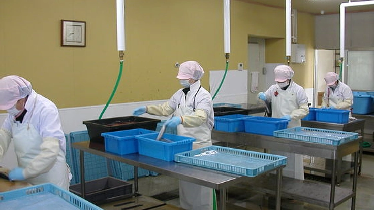 岩手野田村の被災地企業に水産加工のための新たな設備を導入！