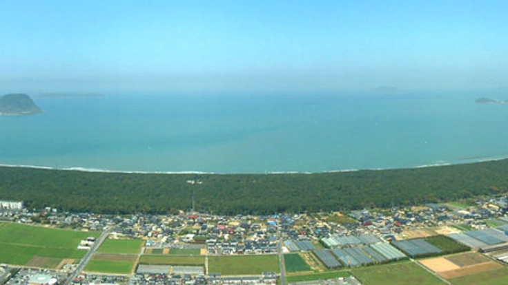 400年受け継がれてきた100万本のクロマツの松原を後世に!