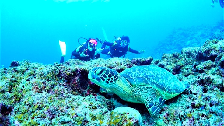 高い!気軽にできない!24歳学生サブスク制でダイブ常識を変えたい! 9枚目
