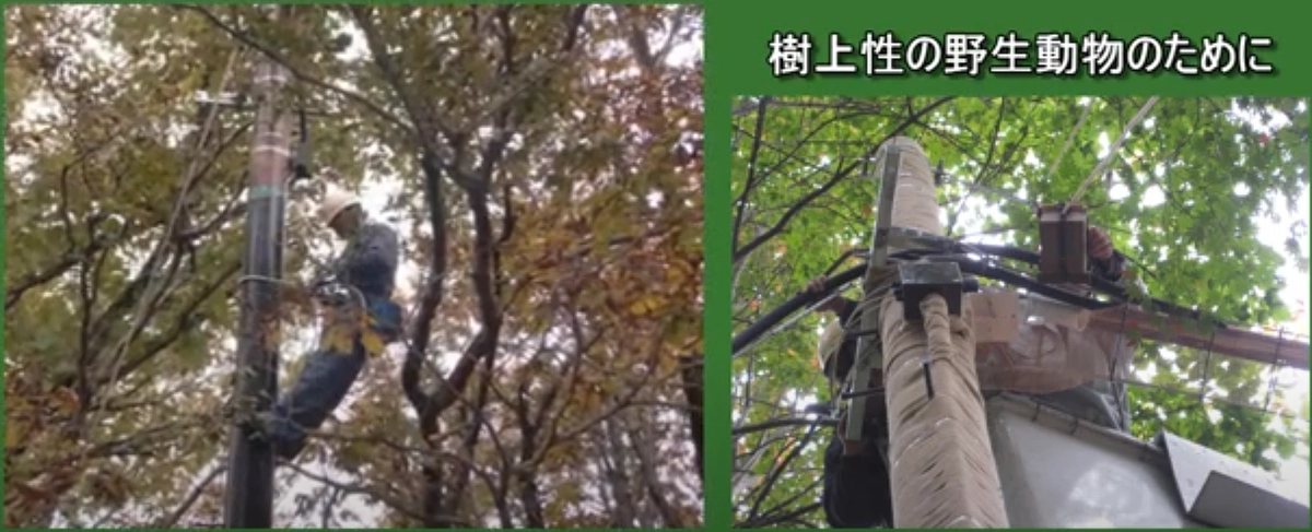 「知ってるつもり？」シリーズ⑤