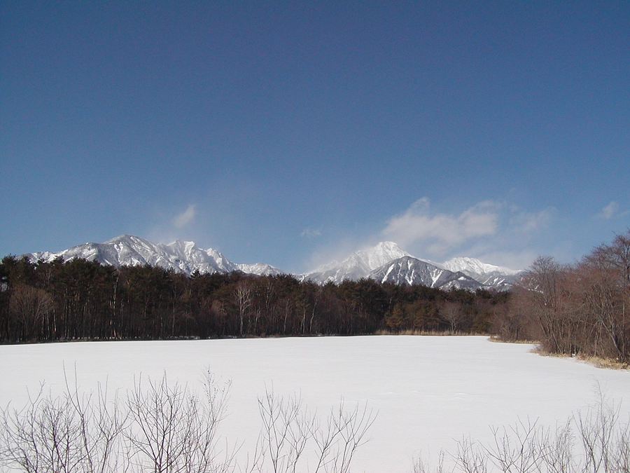 アニマルパスウェイ開発ものがたり　エピソード３