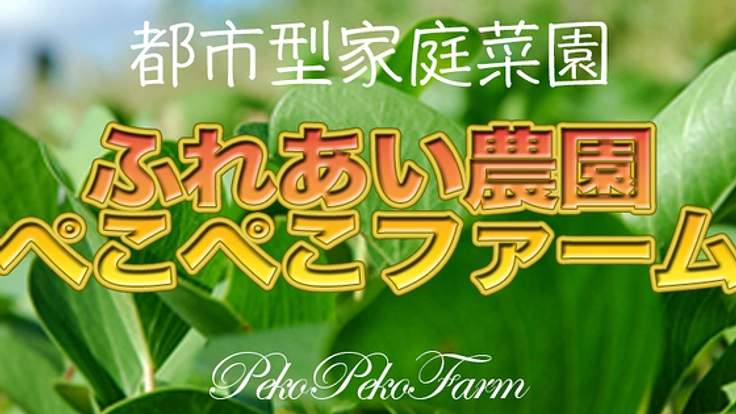 都市型家庭菜園＊完全手作り無農薬野菜！食の調和と地域の輪
