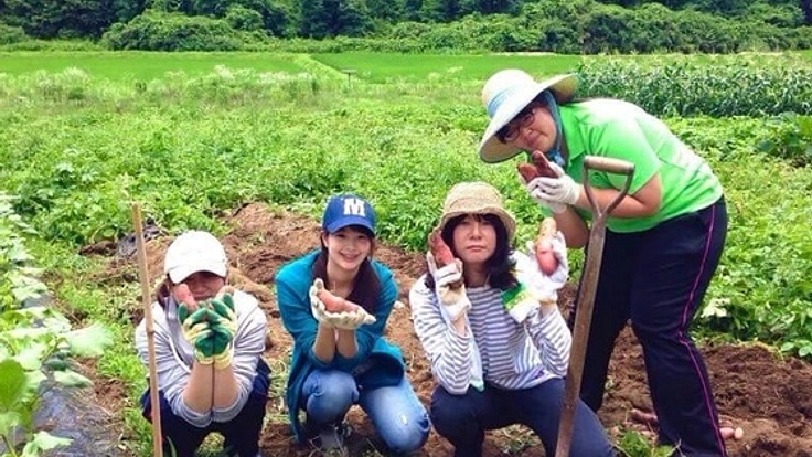 女性のソフトな農業で茨城県笠間市を盛り上げる農園を作りたい！