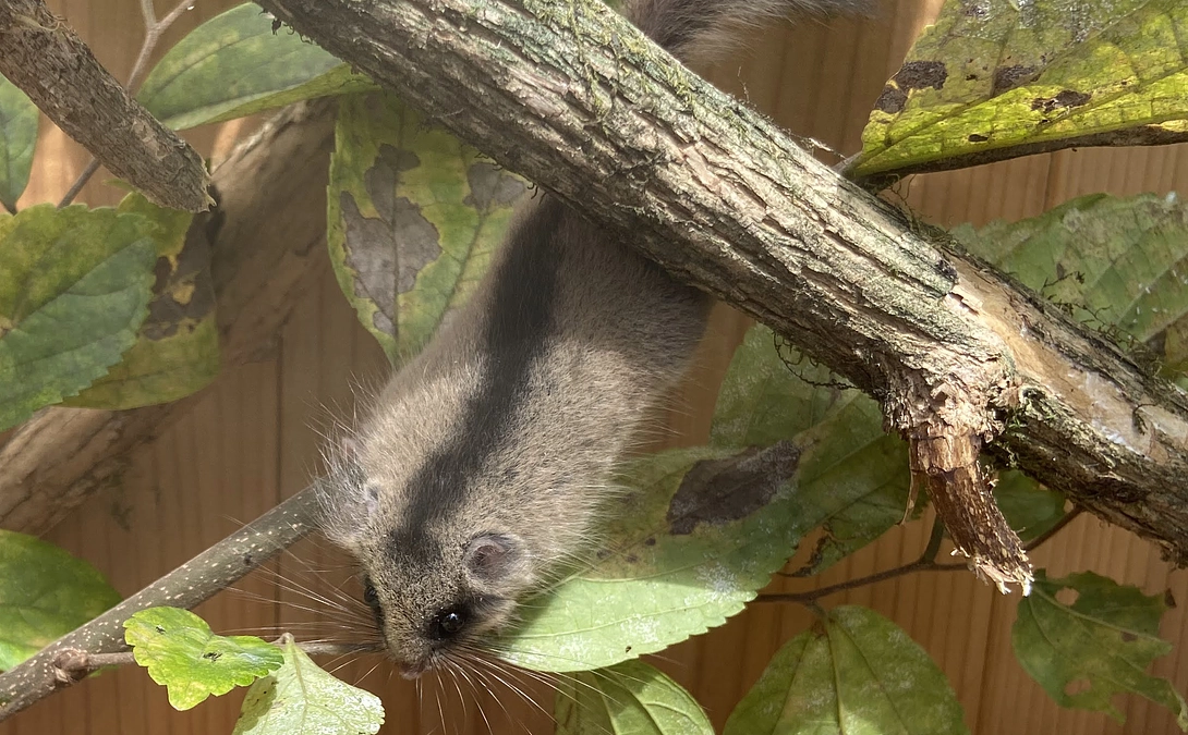 八ヶ岳山麓でロケハンを行いました!