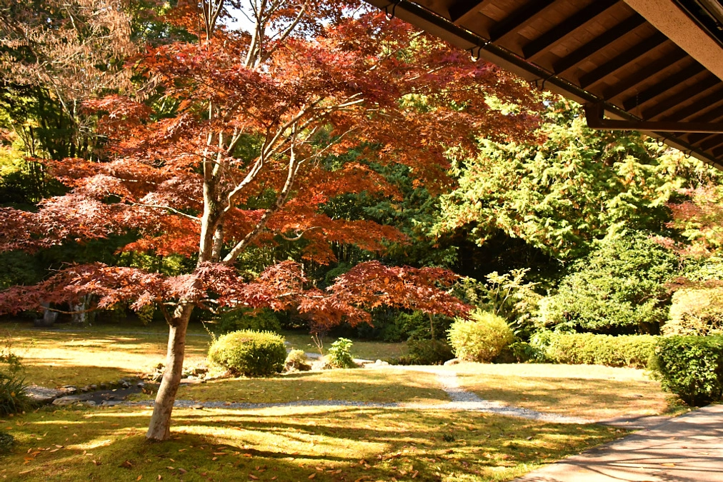 公式ホームページ更新情報