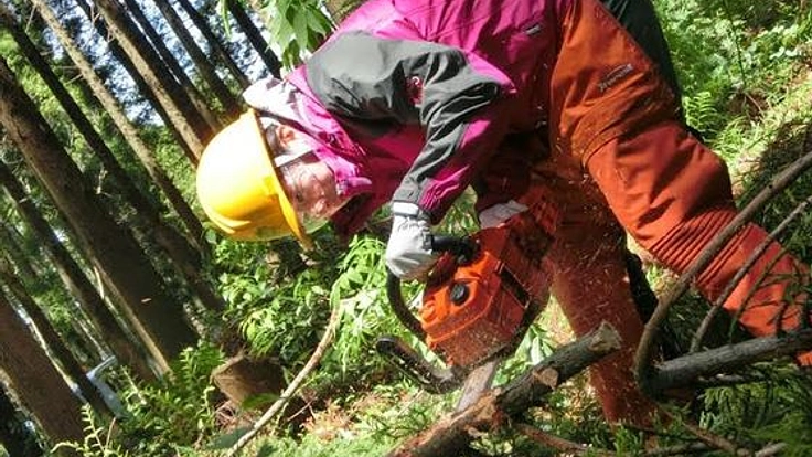 全国林業地密着取材ー森の仕事リクルート情報サイトの作成！