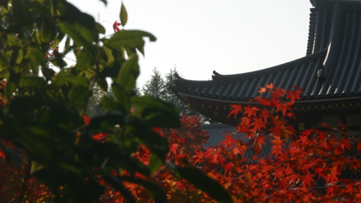 京都府宇治市のゲストハウスで旅人と地域を結び付けたい!