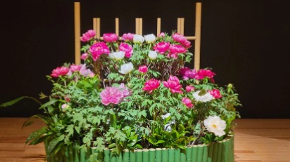 国宝10周年イヤーの幕開けです！