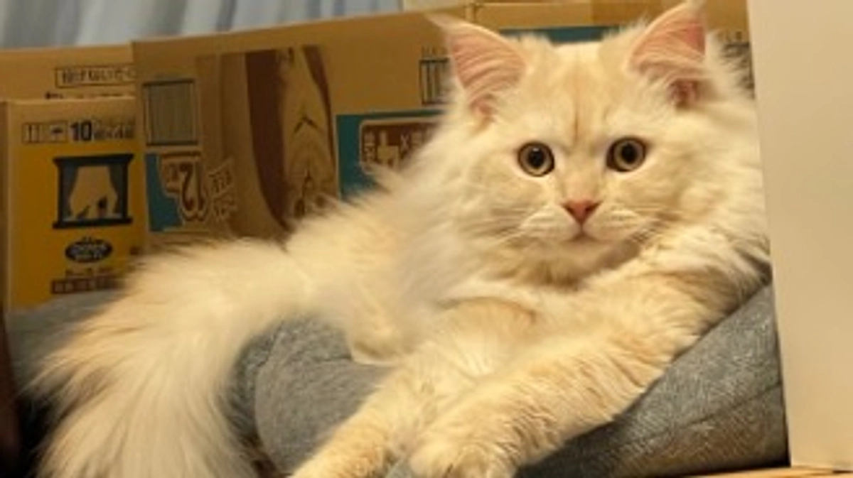 ご支援をいただきました！