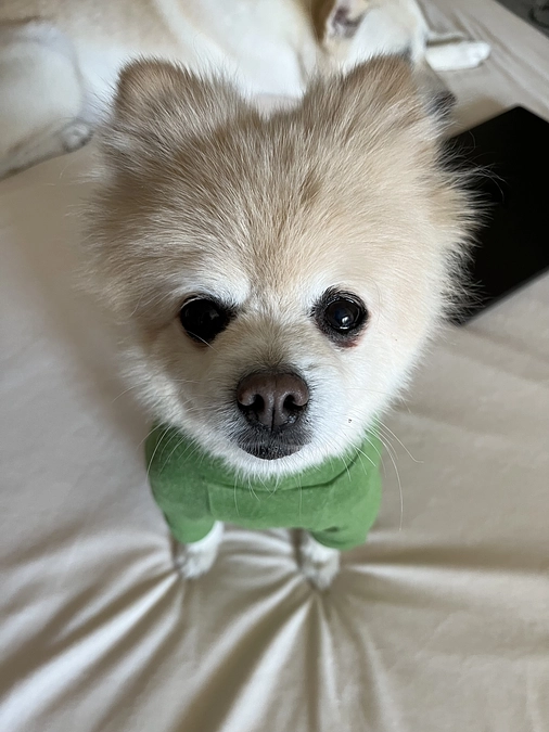 49/59‪ ☆ お寝ぼけクッキー