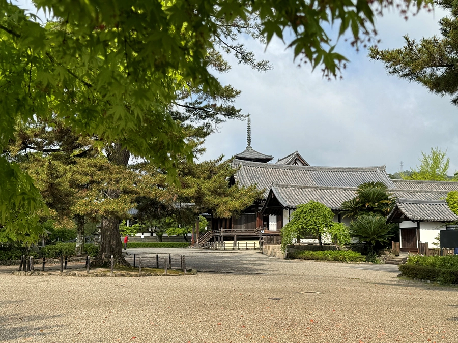 参加証を発送しました