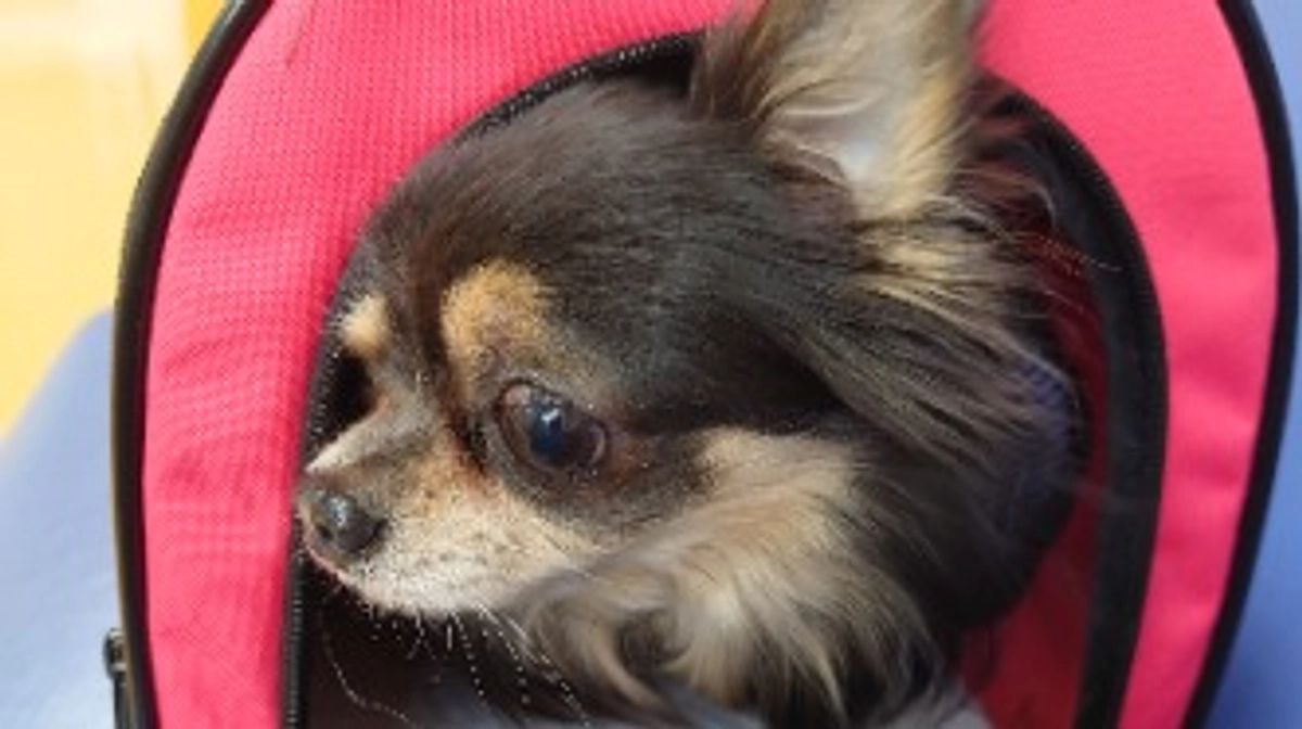 最後のお薬！？