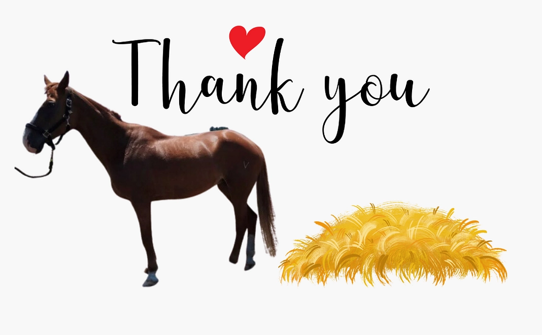 サンクスメール