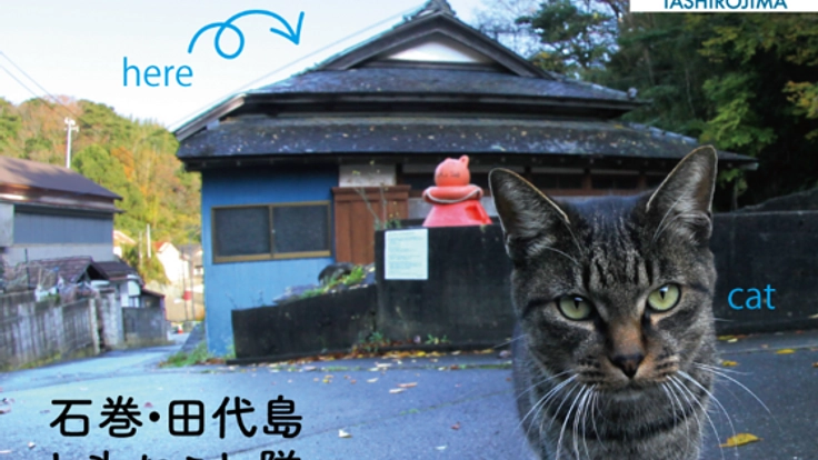 猫島・田代島に誰もが集える古民家カフェを作り、石巻復興へ！
