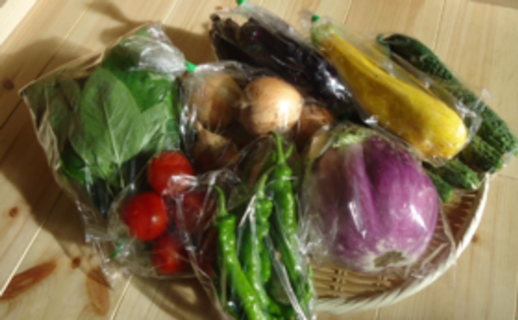 ●有機農家さんの季節野菜セット！