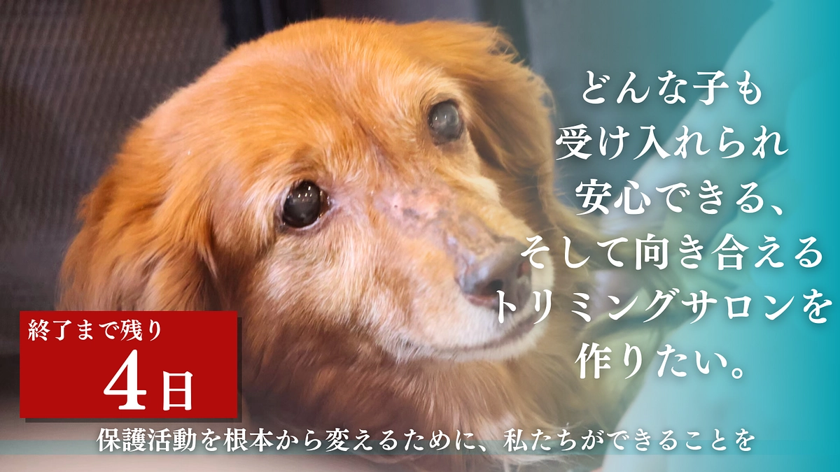 終了まで残り4日となりました！応援メッセージのご紹介