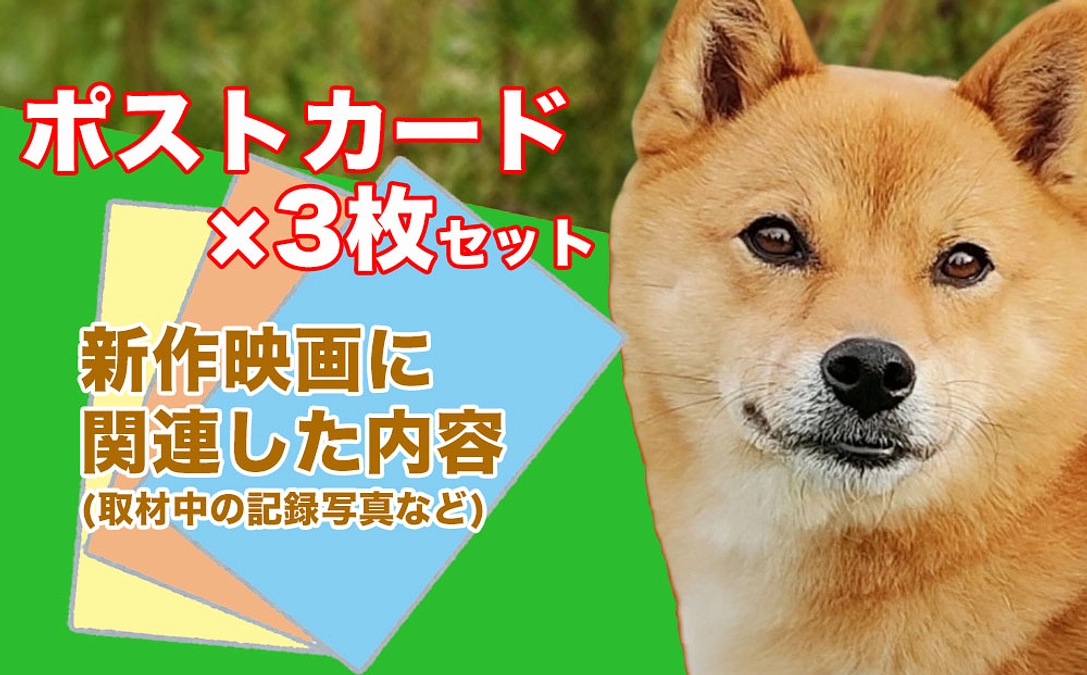 【100万円まであと3万円！今日中に到達したいです！】おすすめリターンのご紹介｜オリジナルグッズ
