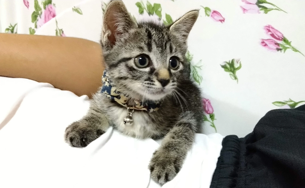 感謝のメール＆ご報告