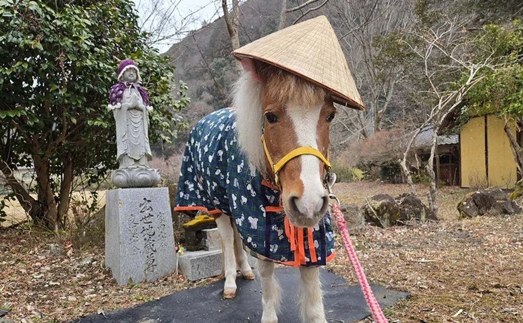 紡ぎっ子サポーター|3000円