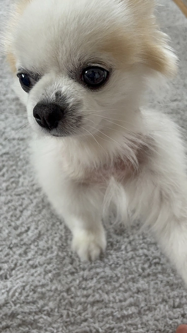 嬉しいご報告です😊