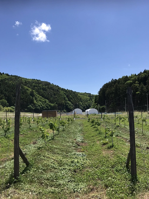 本日23：00終了、目標達成まであと20万円強です！