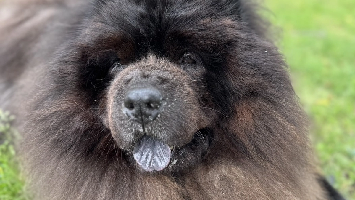 放送はみてくれましたか？