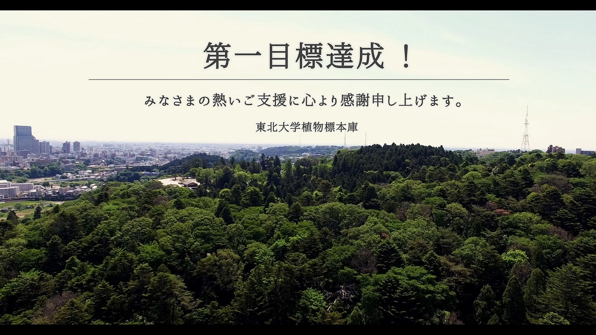 達成のお礼とネクストゴールについて