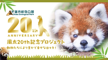 風太20th記念プロジェクト～動物たちにより豊かで幸せな日々を！～